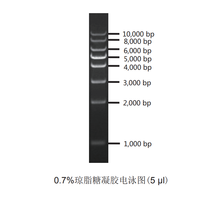 预期2.png